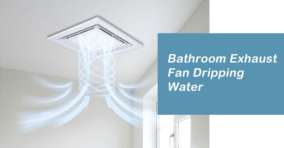 Bathroom Exhaust Fan Dripping Water